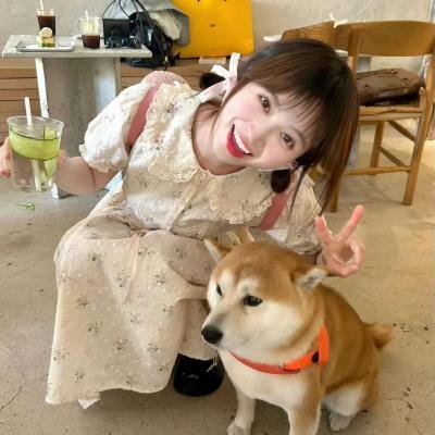 歌坛风月